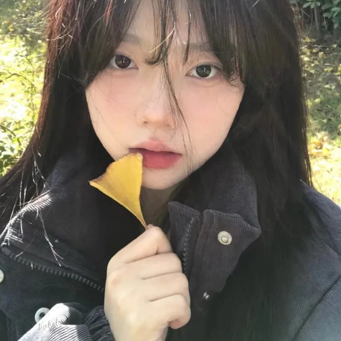 漫长的借口